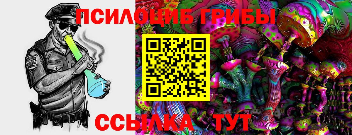 Псилоцибиновые грибы прущие грибы Красногорск