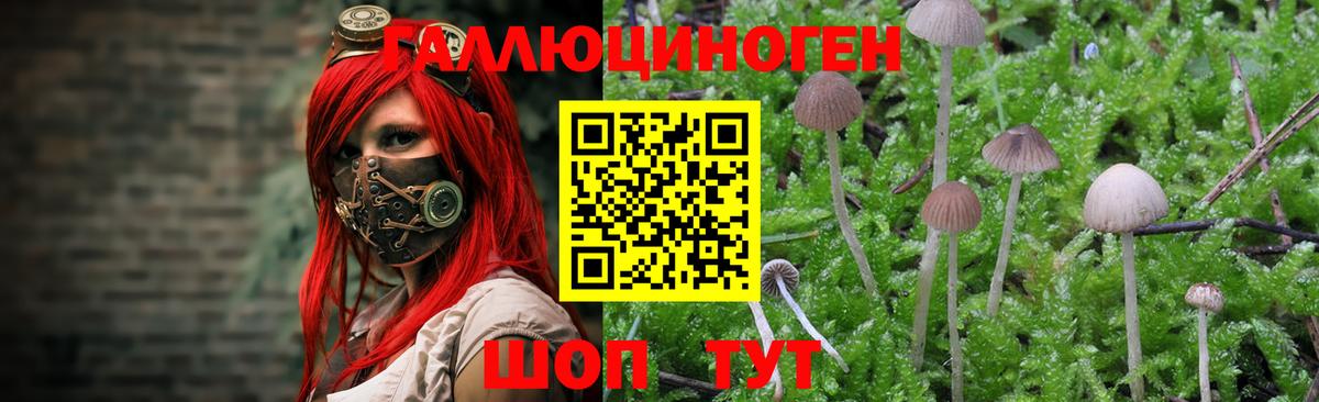 Псилоцибиновые грибы MAGIC MUSHROOMS  продажа наркотиков  Красногорск  Вход с VPN 